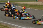 DSC_0217 (2)